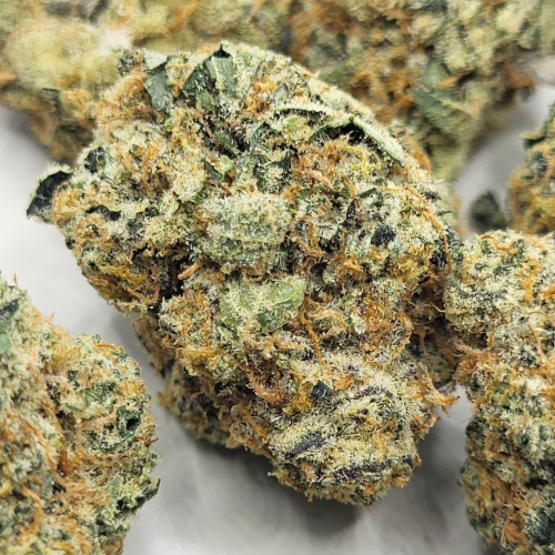Khalifa Kush 14g